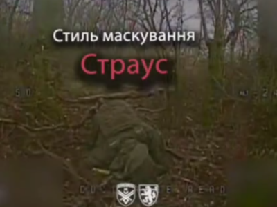 «Страус», «опосум», «гриб»: наші пілоти виявили нові форми російського маскування  
