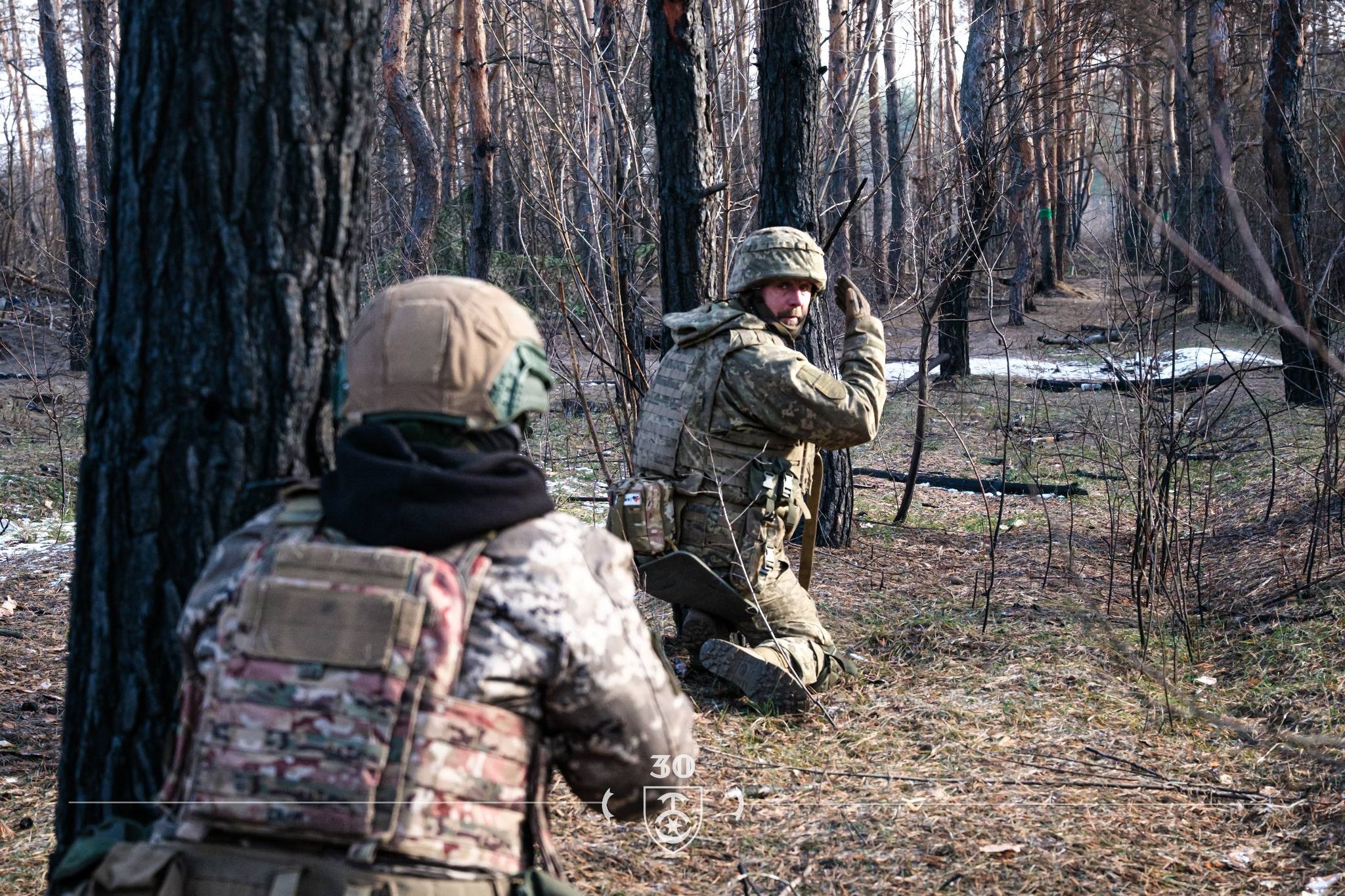 У лісі серед високих сосен двоє українських військових у повному спорядженні пересуваються між деревами, тримаючи зброю напоготові. Один із бійців, присівши біля стовбура, жестом подає сигнал напарнику, уважно спостерігаючи за ділянкою попереду.