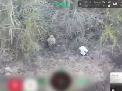 Школа російського опосума: під Вовчанськом окупанти переконливо зображували трупи  