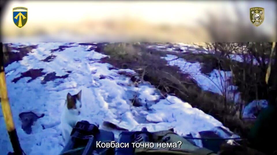 «Що веземо? Ковбаса є?»: котячий патруль проінспектував наземний дрон на Вовчанському напрямку  