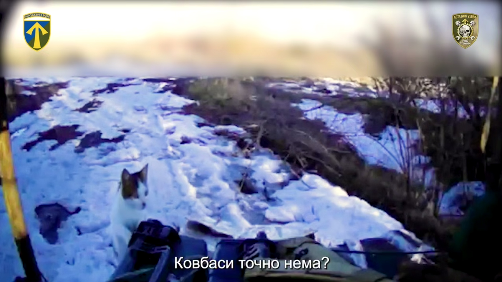На засніженій місцевості перед позицією з’явився кіт, який дивиться в бік камери серед окопів і чагарників. Унизу кадру видно спорядження військового, а на екрані додано жартівливий напис «Ковбаси точно нема?».