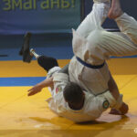 Поєдинок на фінальній частині ІІІ Чемпіонату України з рукопашного бою, присвяченого пам’яті Героя України, генерал-майора Максима Шаповала