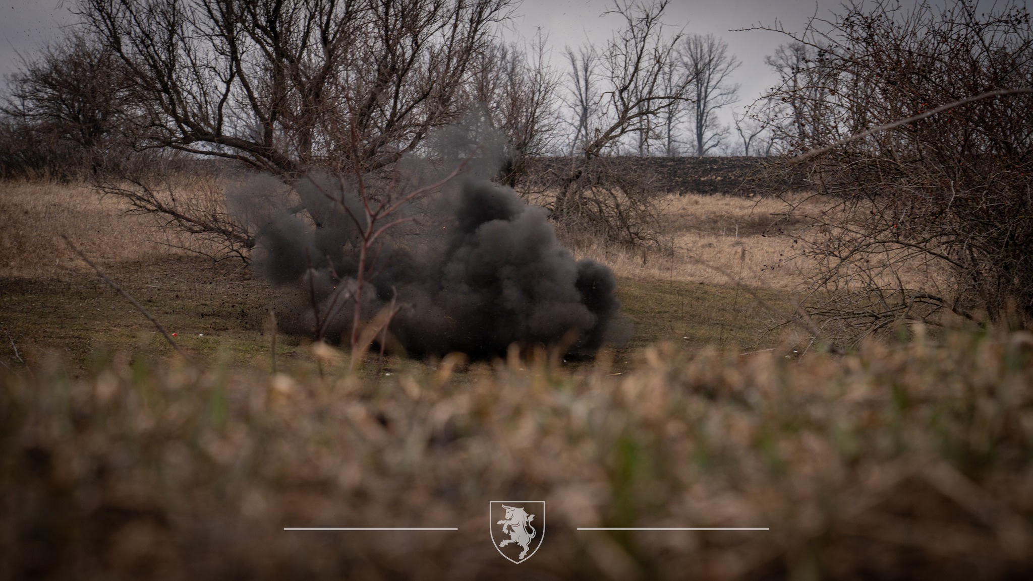 На відкритій місцевості серед сухої трави та оголених дерев здіймається густий чорний дим від вибуху. Хмара пилу й уламків розповзається низько над землею, порушуючи тишу похмурого пейзажу.