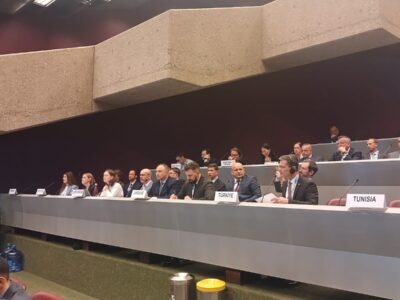 У Женеві відбулася 29-та Міжнародна зустріч директорів національних органів протимінної діяльності і радників ООН  