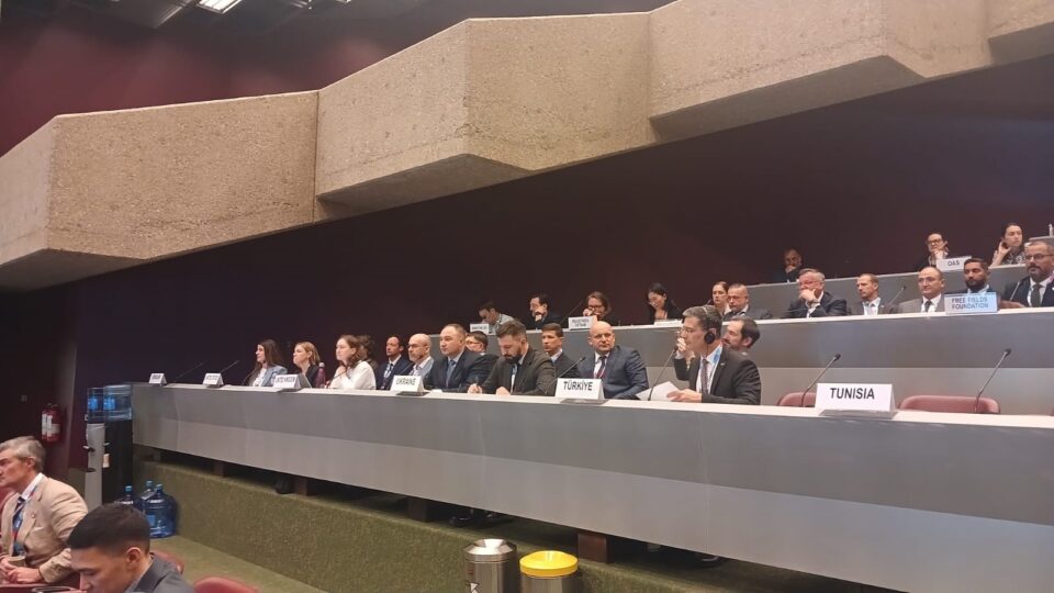 У Женеві відбулася 29-та Міжнародна зустріч директорів національних органів протимінної діяльності і радників ООН  