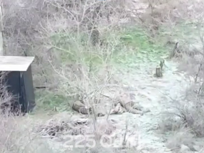 «Ось ідуть окупанти і їх просто розстрілюють»: російські штурмовики потрапили в туалетну засідку  