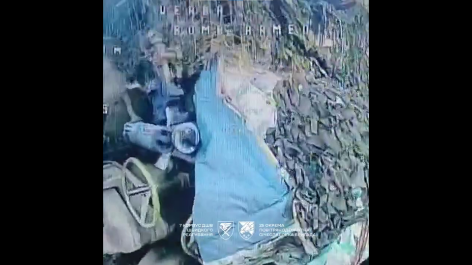 Гармати в купах гілок: на південь від Покровська прорідили російську арту  