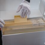 На фото представлено архівну картотеку з ретельно систематизованими документами та картками. Робота з такими матеріалами свідчить про масштабну дослідницьку й архівну діяльність.