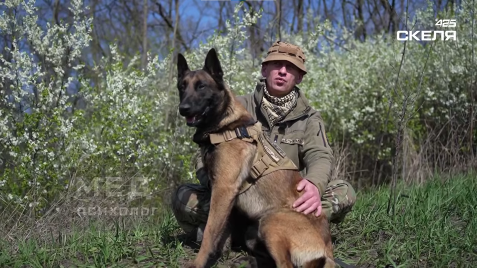 «Тоні» — каністерапевт: як пес допомагає нашим штурмовикам  