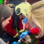 ПОшкоджена ветклініка