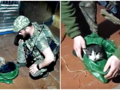 Кіт та пес на БПЛА — Князівська бригада провела унікальну операцію з порятунку тварин з передової  