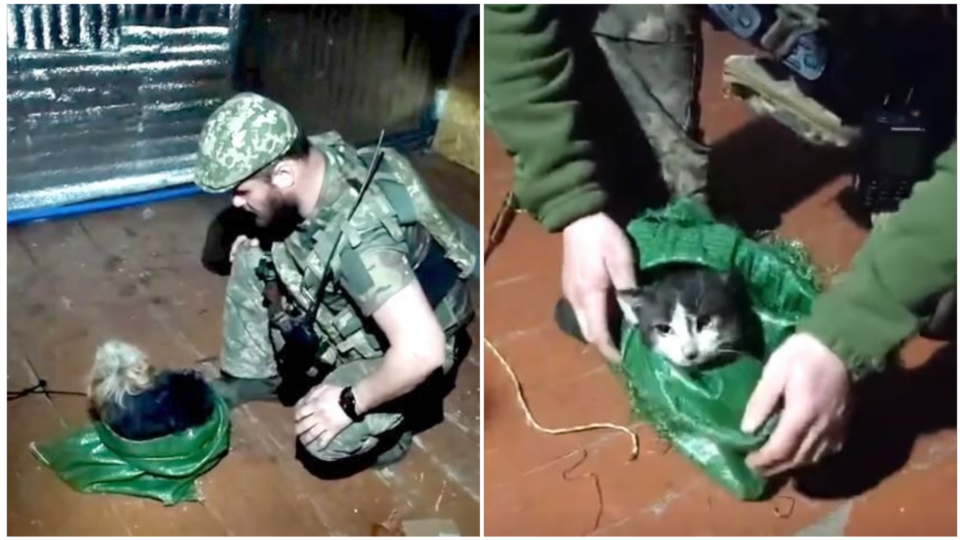 Кіт та пес на БПЛА — Князівська бригада провела унікальну операцію з порятунку тварин з передової  