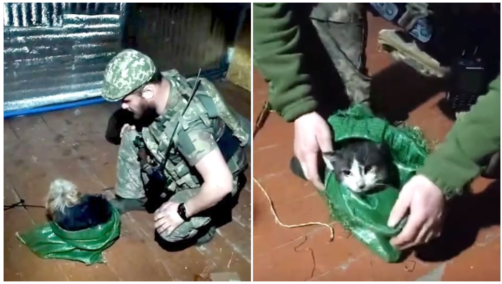 Кіт та пес на БПЛА — Князівська бригада провела унікальну операцію з порятунку тварин з передової