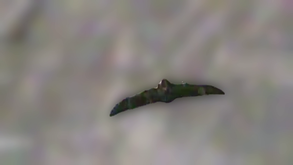 Навіщував поганого: пілоти-прикордонники збили російський БПЛА «князь вєщій олєґ»  