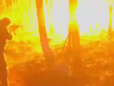 «Ждуни» не дочекались — прикордонники «Форпосту» знищили два дрони окупантів  