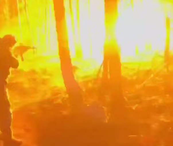 «Ждуни» не дочекались — прикордонники «Форпосту» знищили два дрони окупантів  