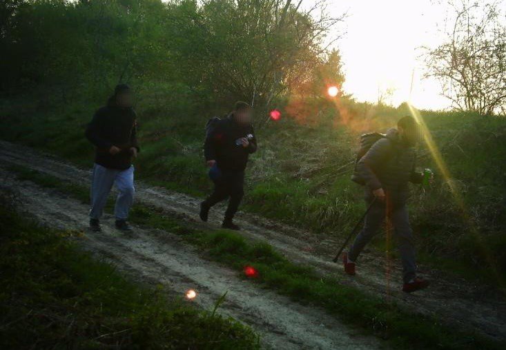 Хотіли до Словаччини, а відповідатимуть перед судом: затримали групу порушників кордону  