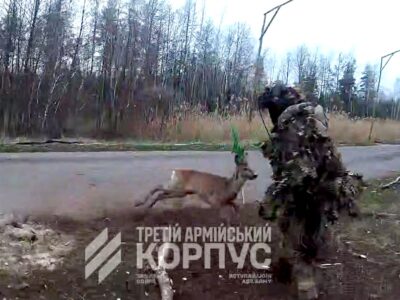 «Примари» врятували косулю, яка заплуталась рогами в антидроновій сітці  