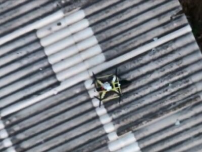 «Ми будемо працювати до того моменту, поки їх не знищимо»: як пілоти «Фенікса» протистоять російському «Рубікону»