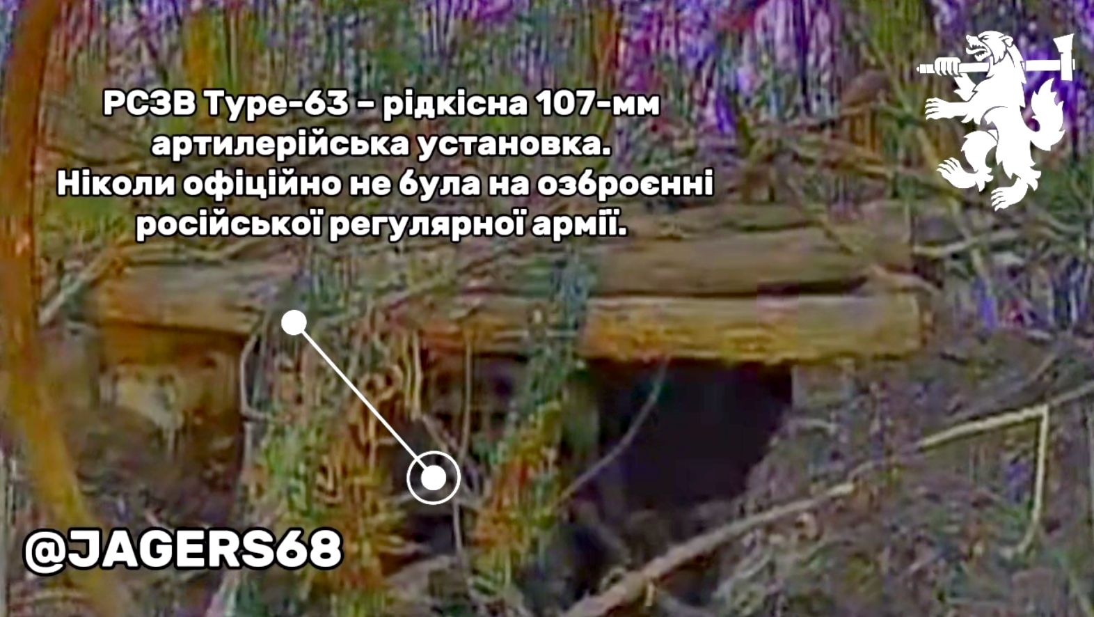 Дрон виявив у лісі північнокорейську РСЗВ Type-63