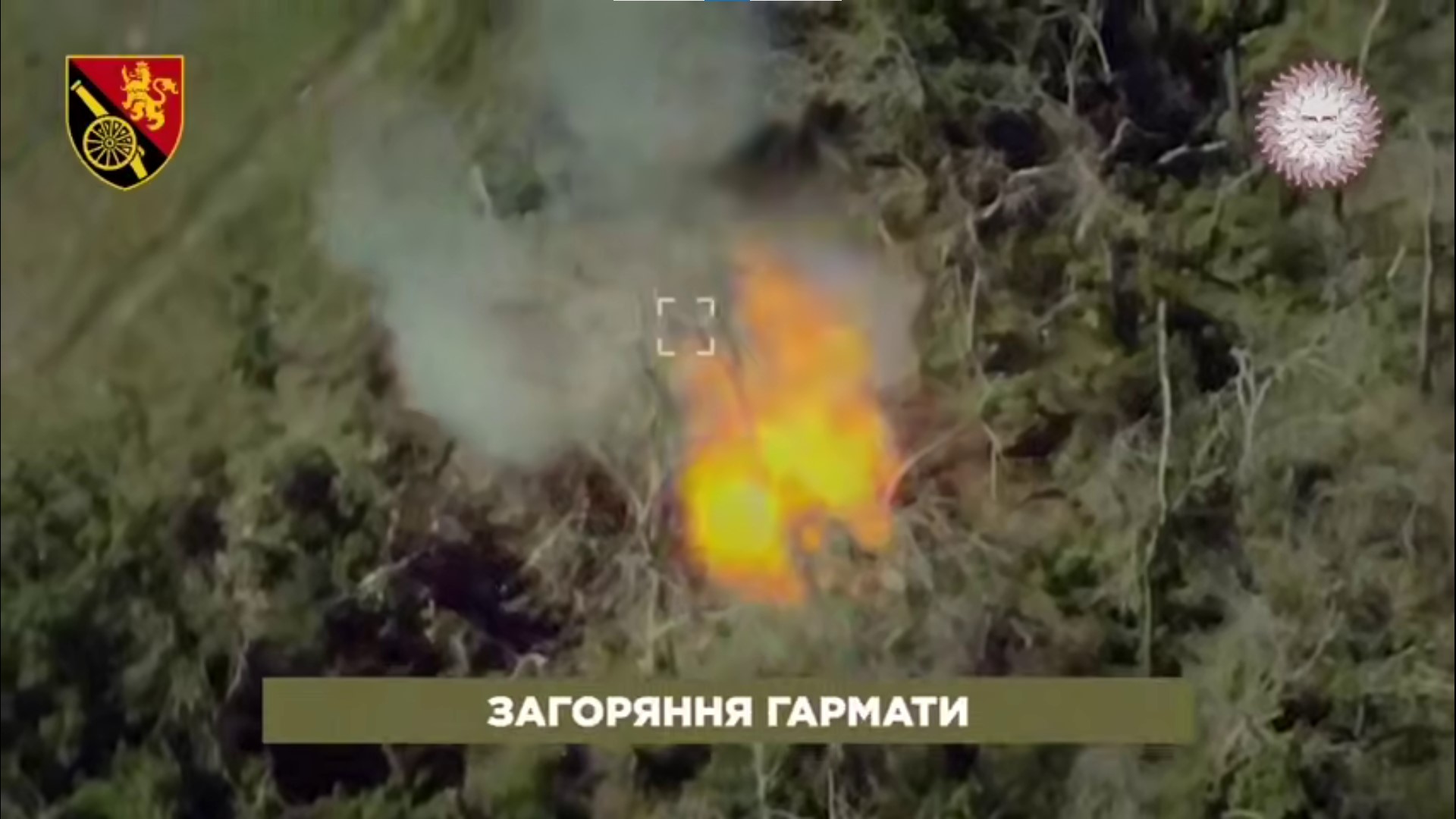 Ворожа гармата палає у кущах