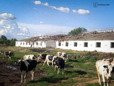 П’ятеро людей постраждало внаслідок російського удару по фермі на Сумщині. Багато корів загинуло
