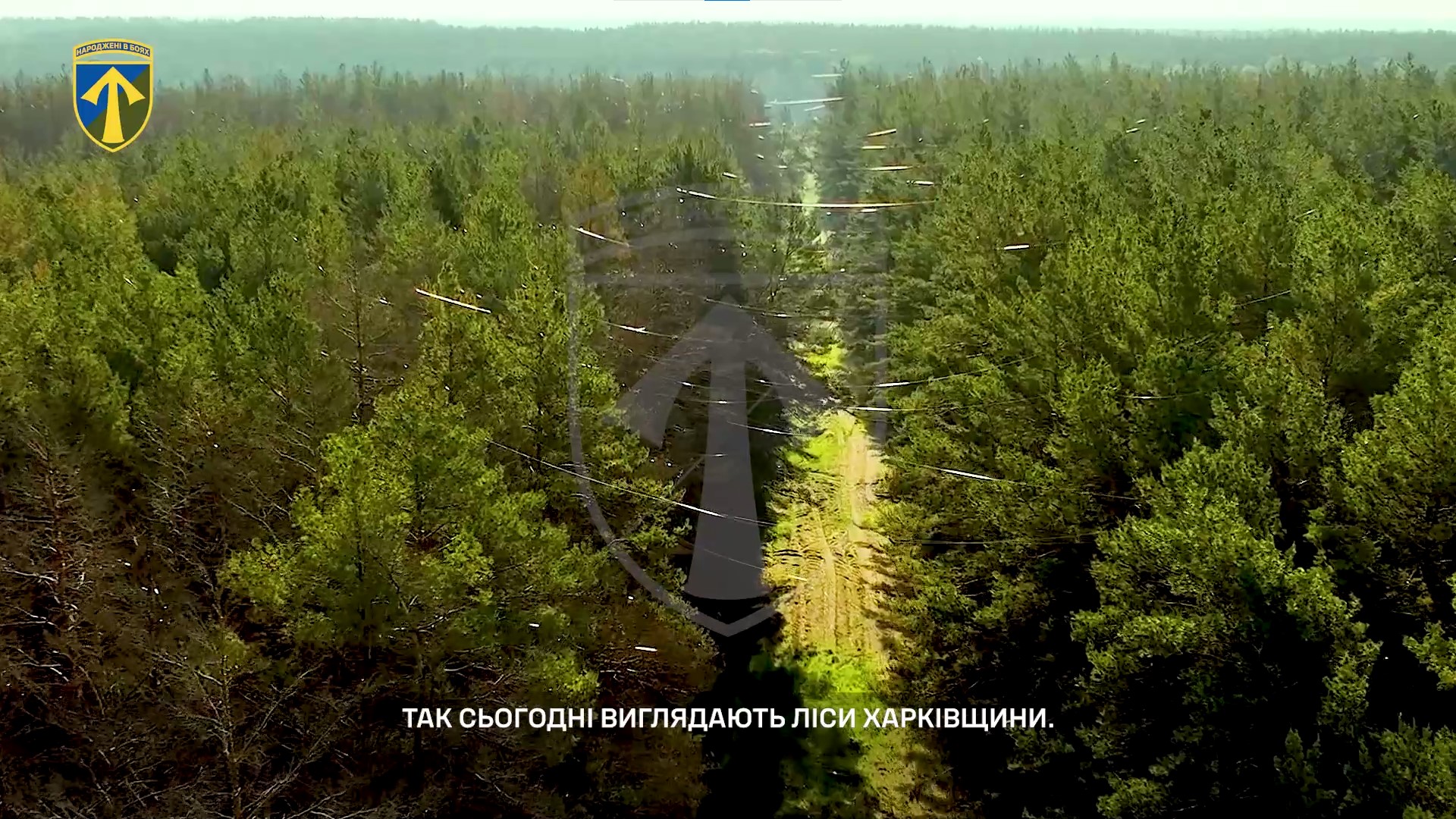 Ліси Харківщини у посліді російських пілотів