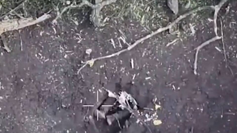 Нора стала могилою: довгі ноги видали окупанта 