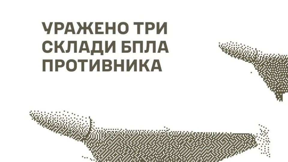 Міст через Молочну, три склади БПЛА та ретранслятор: Сили оборони уразили низку об’єктів ворога 