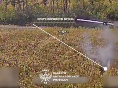 Перерубали пропелером: російський дрон загнали в кукурудзу