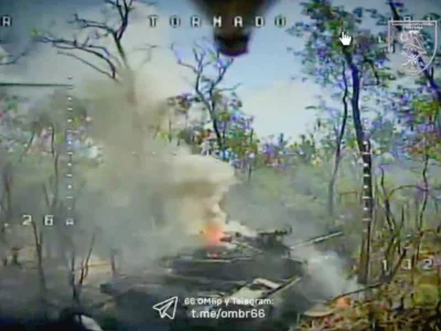 Окупанти кинули свій танк на поталу українським FPV